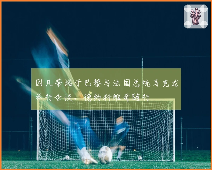 因凡蒂诺于巴黎与法国总统马克龙举行会谈，德约科维奇随行