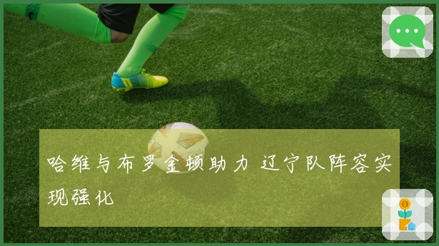 哈维与布罗金顿助力 辽宁队阵容实现强化