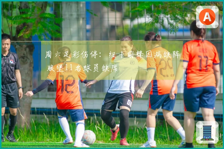 周六足彩伤停：纽卡前锋因病缺阵 狼堡11名球员缺席