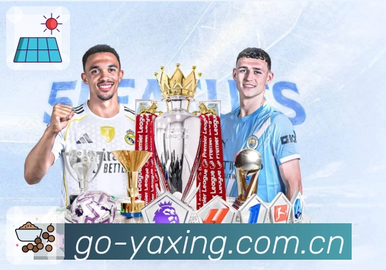 数据展示优化认证